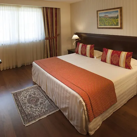 酒店 卡利萨诺酒店 4*