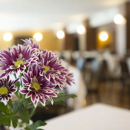 卡利萨诺酒店 酒店